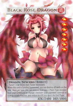 Cute Anime Waifu Cards | Yugioh orica Wiki | Fandom Cute Anime Waifu Cards | Yugioh orica Wiki | Fandom