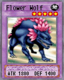 Flower Wolf 2004