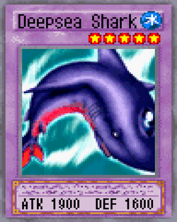 Deepsea Shark 2004