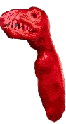 Canidont