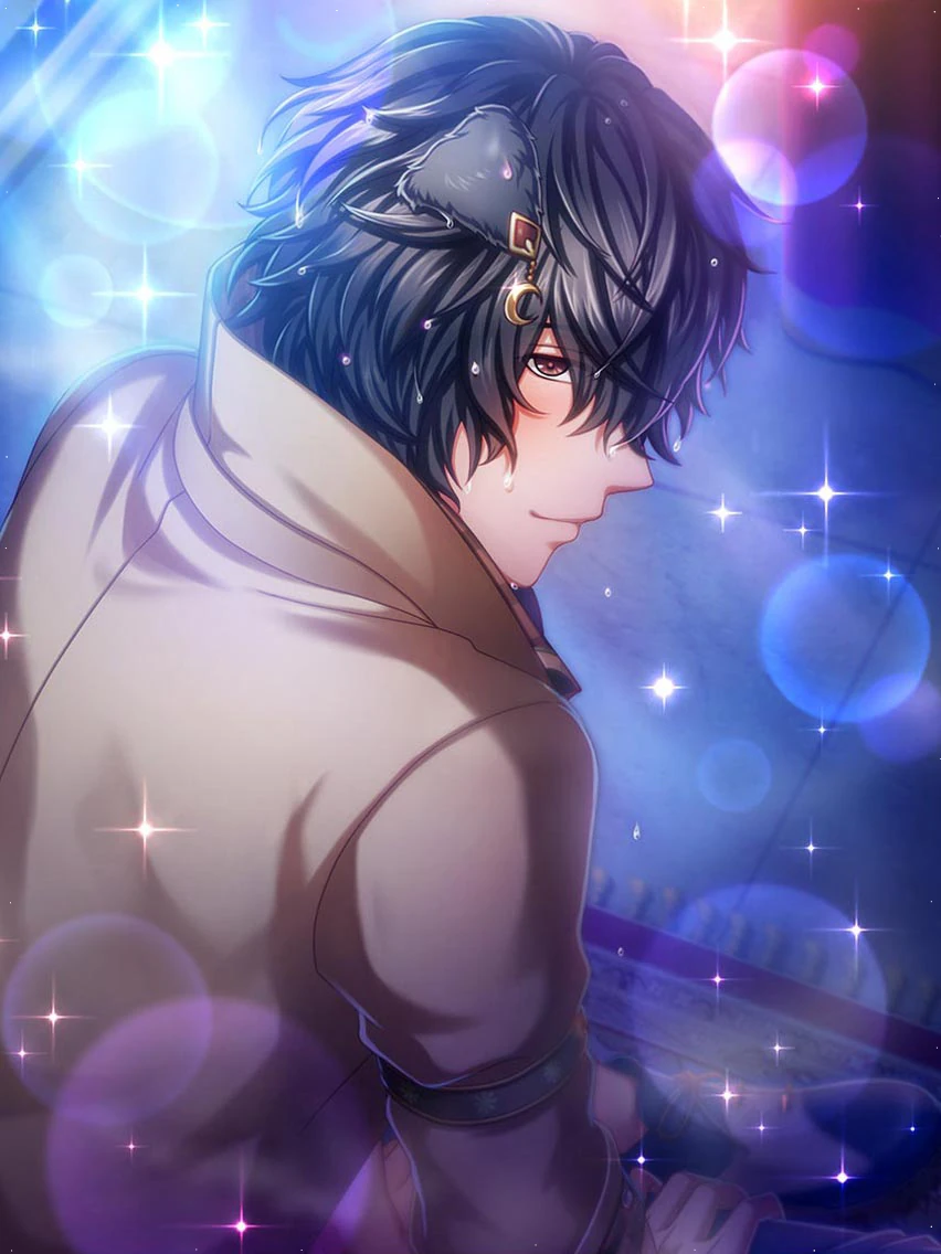 ♥ piyo さま専用 ♥ Toto (Dakimakura) | Yume 100 English Wiki | Fandom