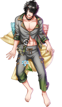 Toto (Dakimakura) | Yume 100 English Wiki | Fandom