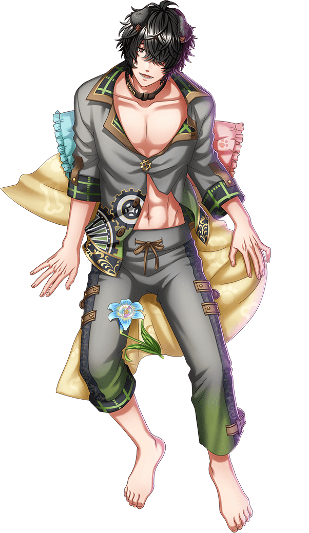 Toto (Dakimakura) | Yume 100 English Wiki | Fandom