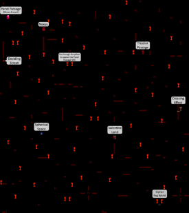 Map of Heart World