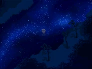 The starry night at the river.