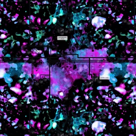 Map of the Aurora Lake