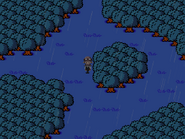 The rainy version of the forest.