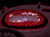 #200 - "Black Cave", by noildoof - Seeing the Dream of Roses event in Red Rock Caves