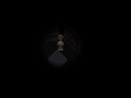 The mirror that takes you to Static Noise Hell.