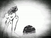 What am I looking at...