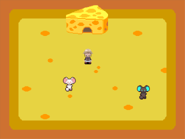 You know, I wonder if these guys like cheese.