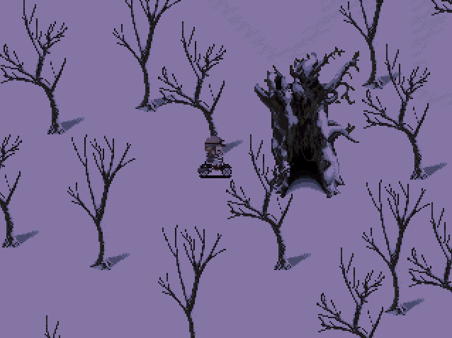 Uncharacteristically big tree.