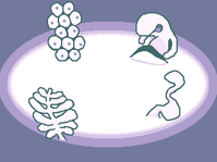 #281 - "Igloos", by maptsuki - Interact with the inhabitants of the igloos of Whipped Cream World, as shown in the Wallpaper