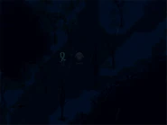 Time for a game of hide-and-seek.