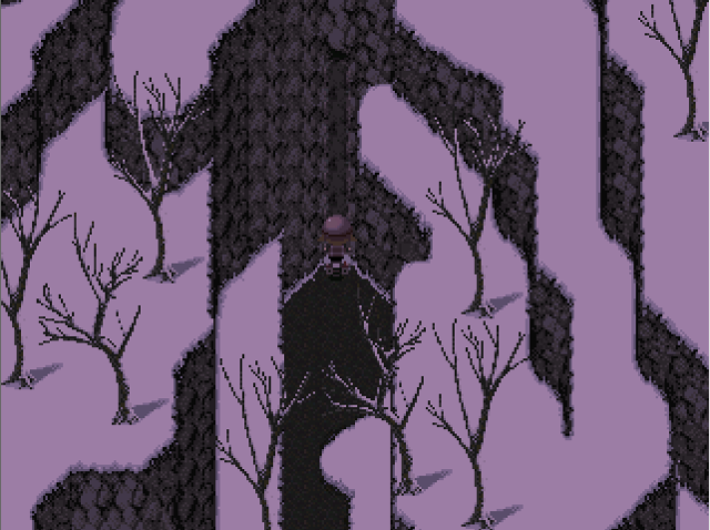 The spring of the creek.