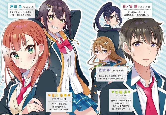 Light Novel