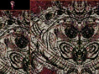 The image was used to block the Debug Room in version 0.09.