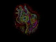 The world's parallax background.