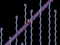 The staircase you get sent to after sleeping in a particular dream world bed.