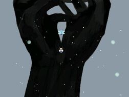 Snow bug.jpg