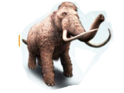 Woolly Mammoth