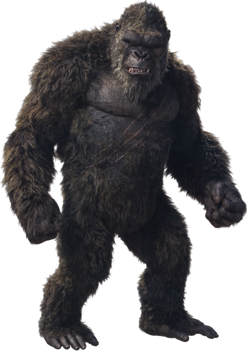 King Kong | Yuna's Princess adventure Wikia | Fandom King Kong | Yuna's Princess adventure Wikia | Fandom