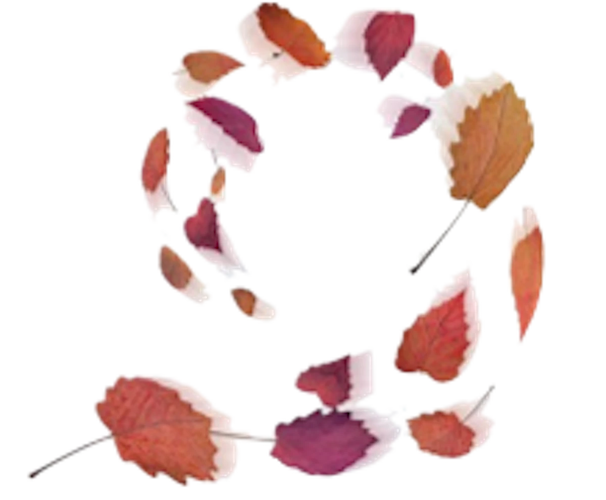 Gale (Frozen) Yuna's Princess adventure Wikia Fandom