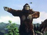 King Kong