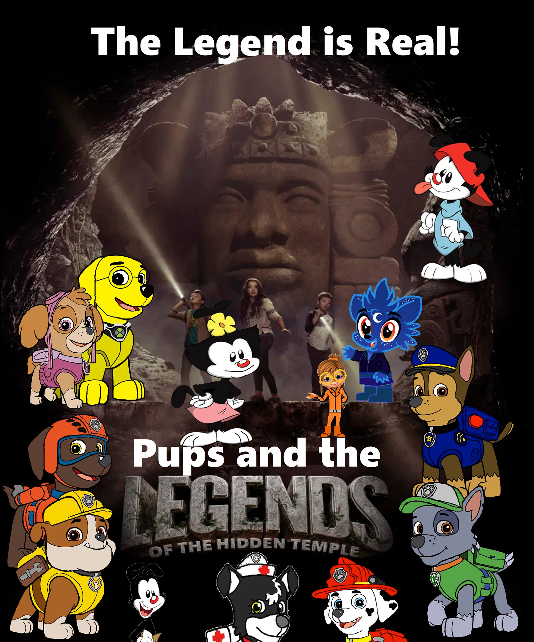 Paw patrol temple top