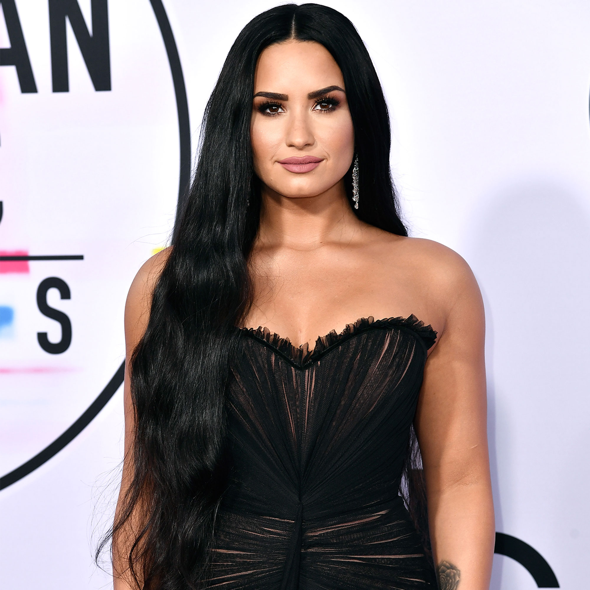 Sorry Not Sorry, Wiki Demi Lovato