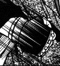 Gloves.png