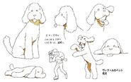 Makkachin character design