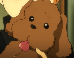 Vicchan/Gallery | Yuri!!! on Ice Wikia | Fandom