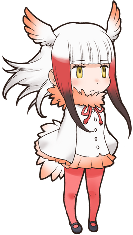 Crested IbisOriginal
