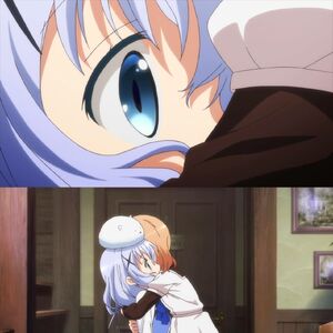Chino Kafu Yuri Wiki Fandom Character from gochuumon wa usagi desu ka? chino kafu yuri wiki fandom