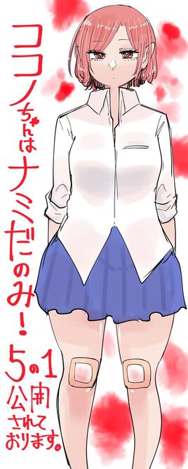 Nami Aida