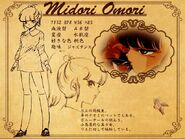 Midori's profile in Japanese