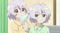 Chitose Ikeda, YuruYuri Wiki, Fandom