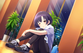 Hotaru SS SSR1