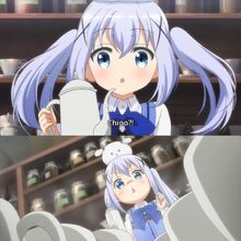 Featured image of post Chino Kafuu Pfp