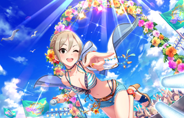 Syuko SS SSR3+