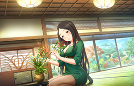 Shino SS SR3