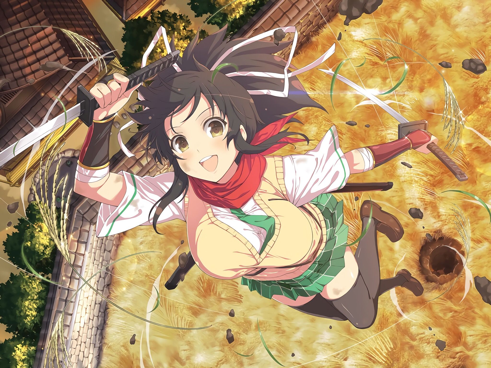 HS2/AI] Senran Kagura ~ Asuka