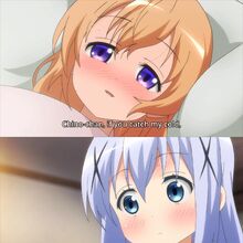 Chino Kafu Yuri Wiki Fandom Sd & hd extra folder : chino kafu yuri wiki fandom