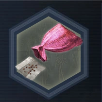 Pink seed bag