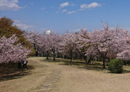 Daiboshi Park