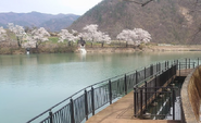 Yagihako Park