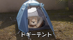 Episode 2.2 - Ena gets a tent for Chikuwa