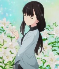 Dreamy sensei