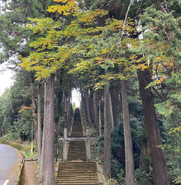 Stairs to Naisenji Temple